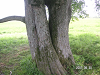 s_PICT0561_thumb.png